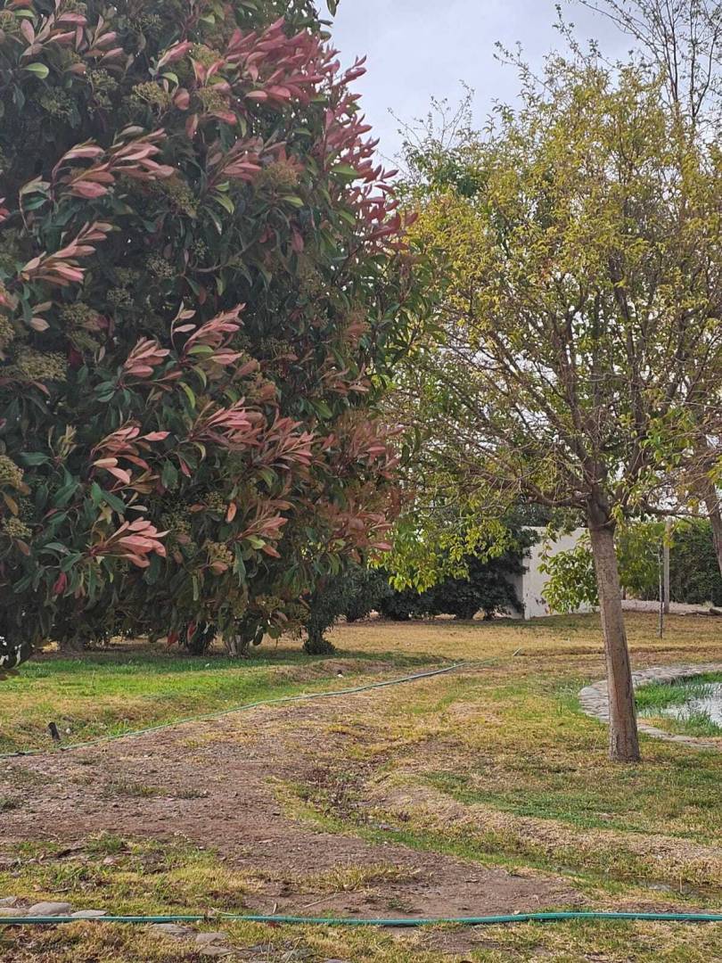 Terreno en Venta en Maipu, Mendoza