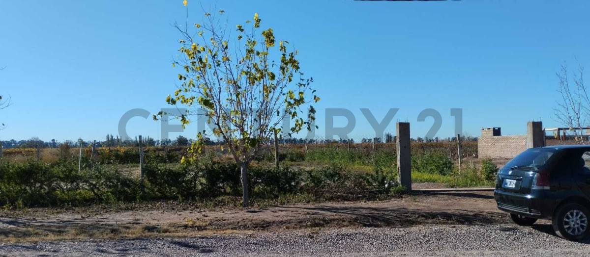 Terreno en Venta en Maipu, Mendoza