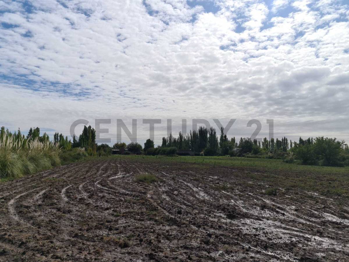 Terreno en Venta en San Rafael, Mendoza