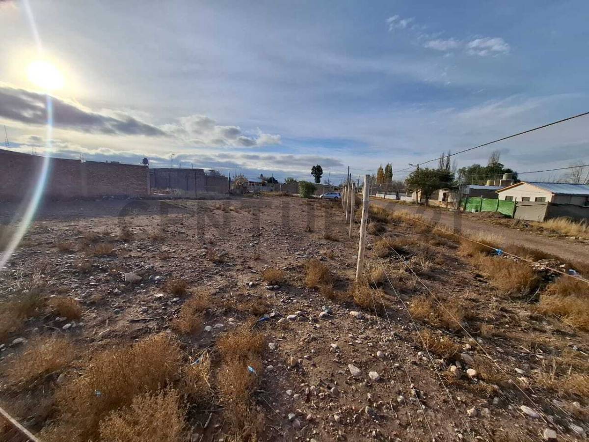 Terreno en Venta en Lujan de Cuyo, Mendoza