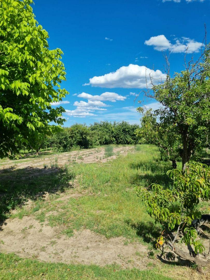 Casa en Venta en San Rafael, Mendoza