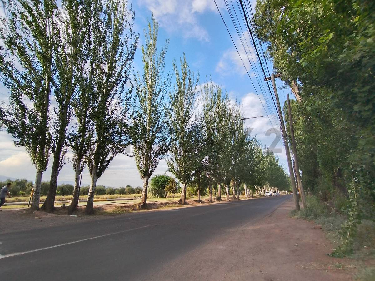 Oficina en Venta en Lujan de Cuyo, Mendoza