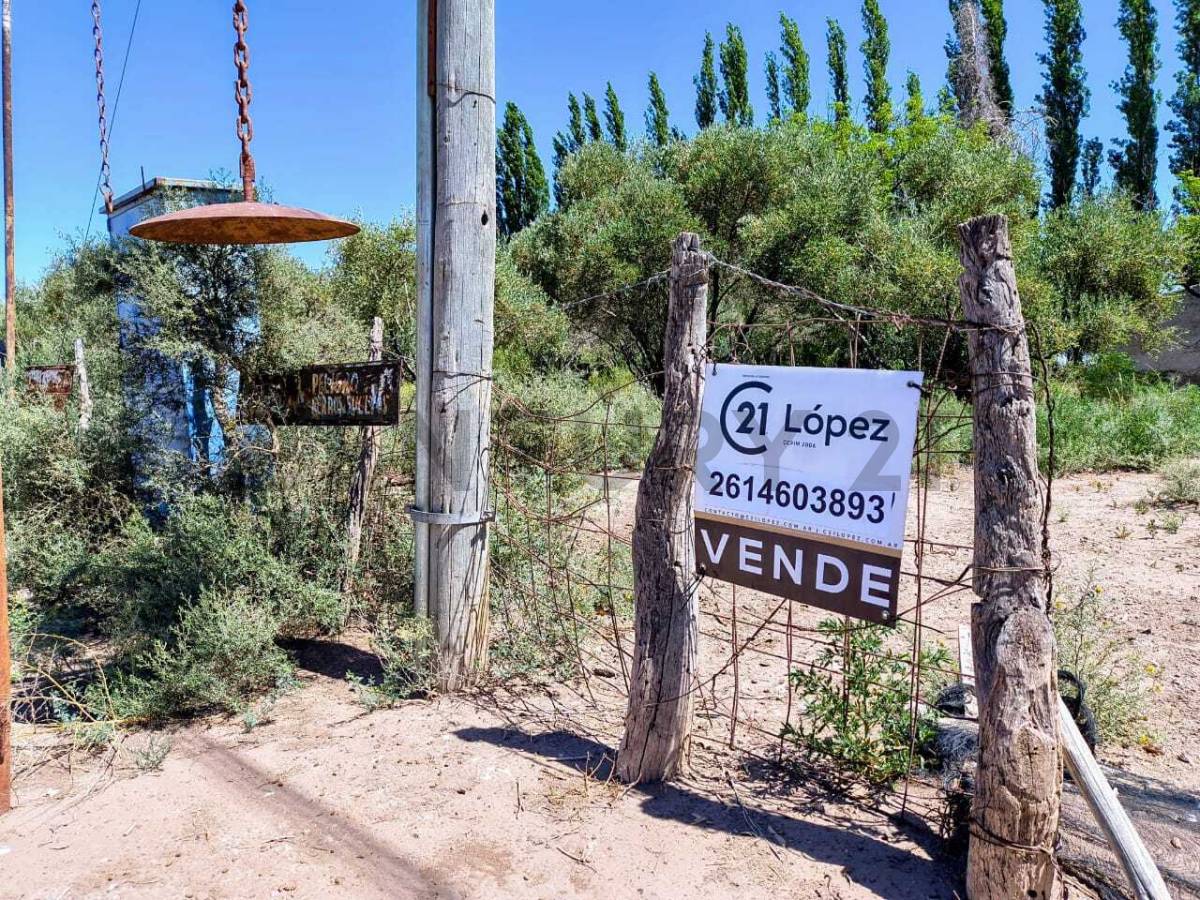 Campo en Venta en San Martin, Mendoza