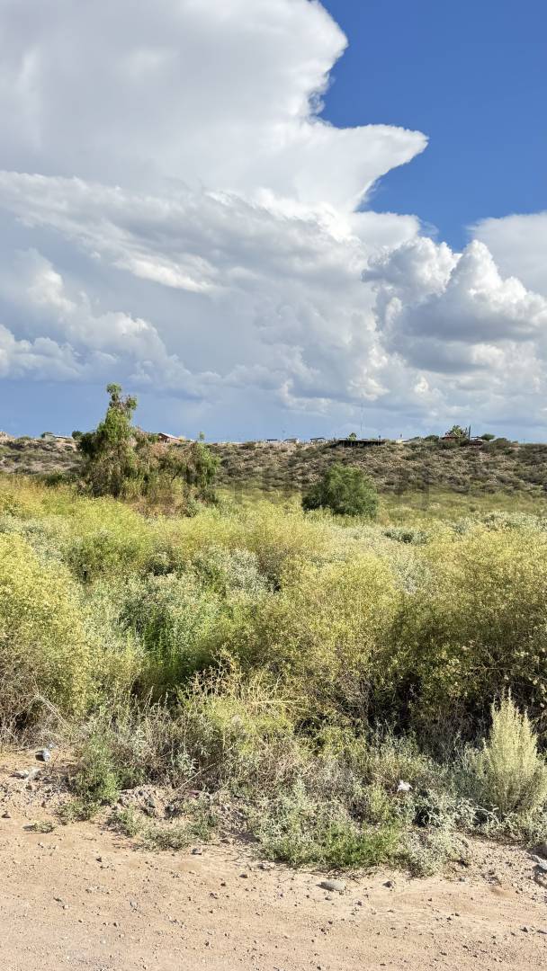 Terreno en Venta en Lujan de Cuyo, Mendoza
