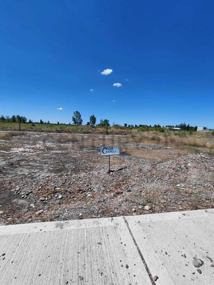 Terreno en Venta en Rivadavia, Mendoza