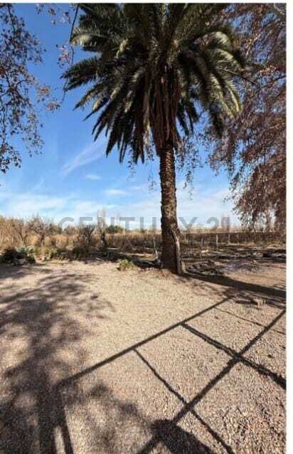 Terreno en Venta en Las Heras, Mendoza