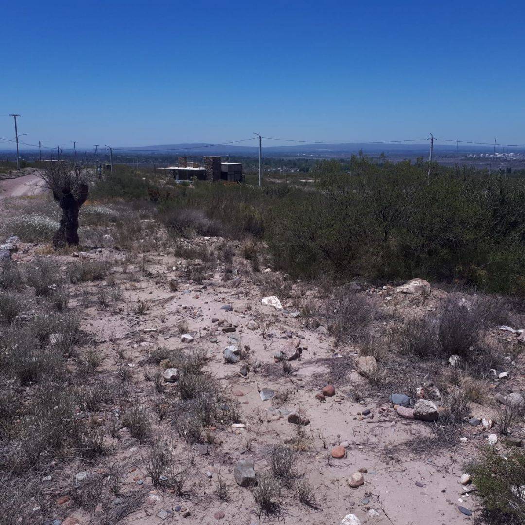 Terreno en Venta en San Carlos, Mendoza