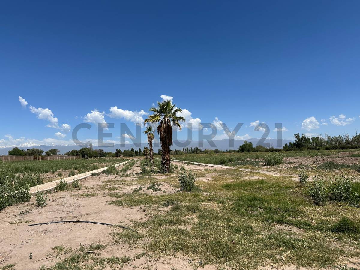 Terreno en Venta en Guaymallen, Mendoza