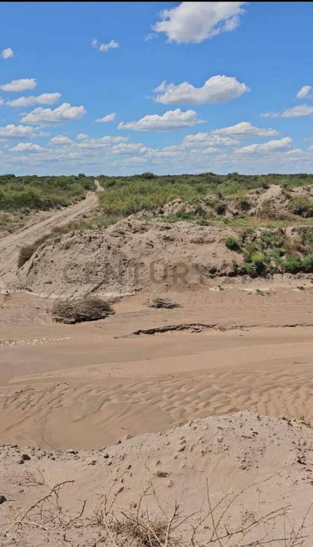 Campo en Venta en San Rafael, Mendoza