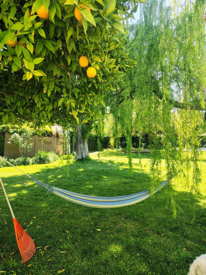 Casa en Alquiler en Lujan de Cuyo, Mendoza