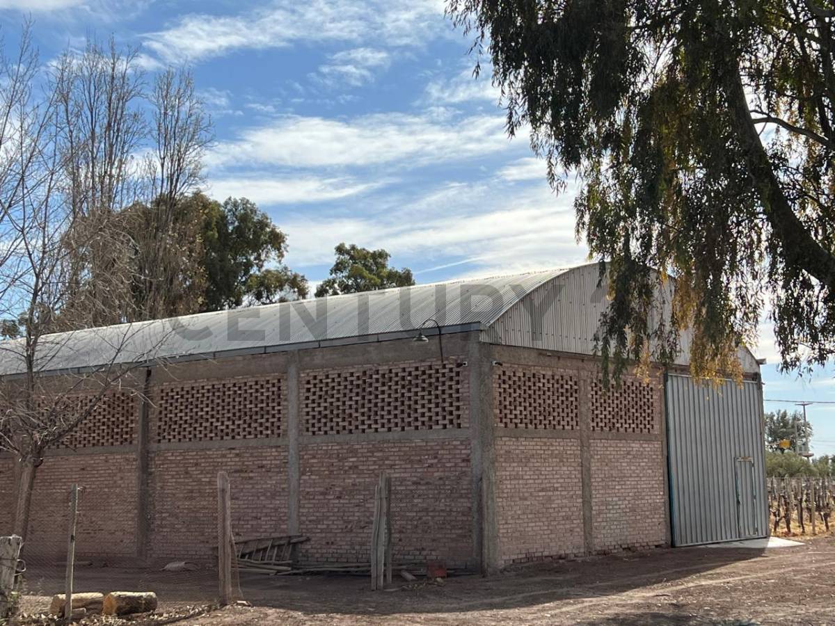 Campo en Venta en Lavalle, Mendoza