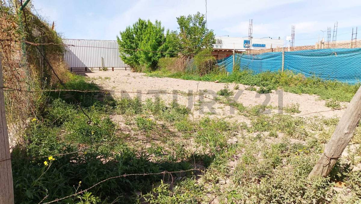 Terreno en Venta en Lujan de Cuyo, Mendoza