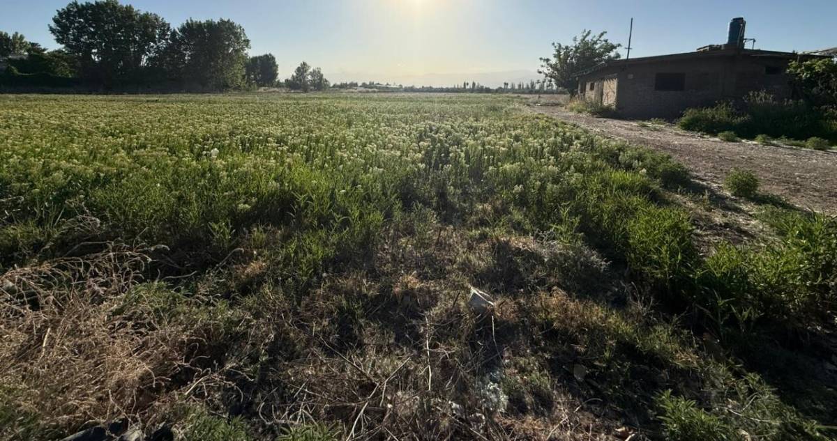 Terreno en Venta en Guaymallen, Mendoza