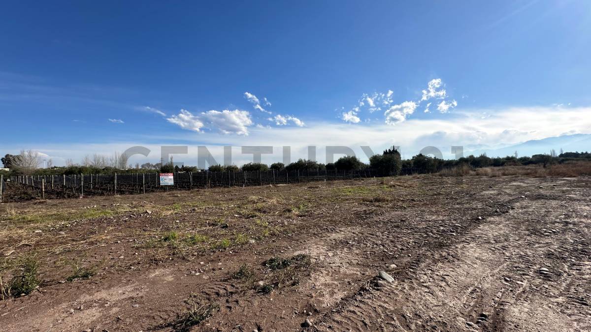 Terreno en Venta en Lujan de Cuyo, Mendoza