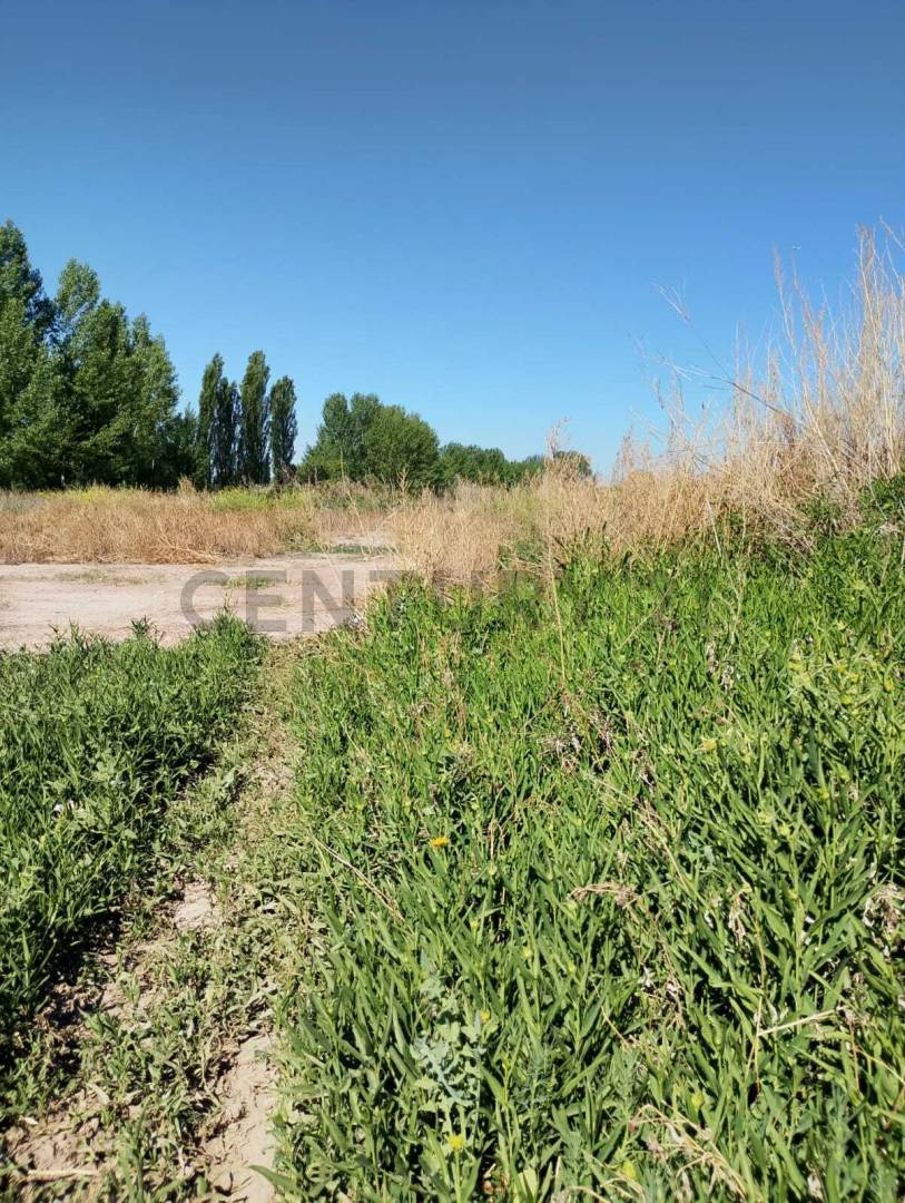 Terreno en Venta en Maipu, Mendoza