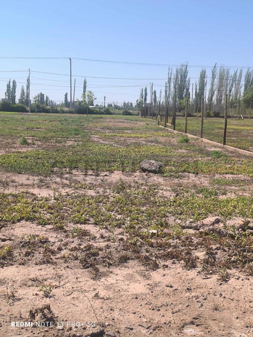 Terreno en Venta en Maipu, Mendoza