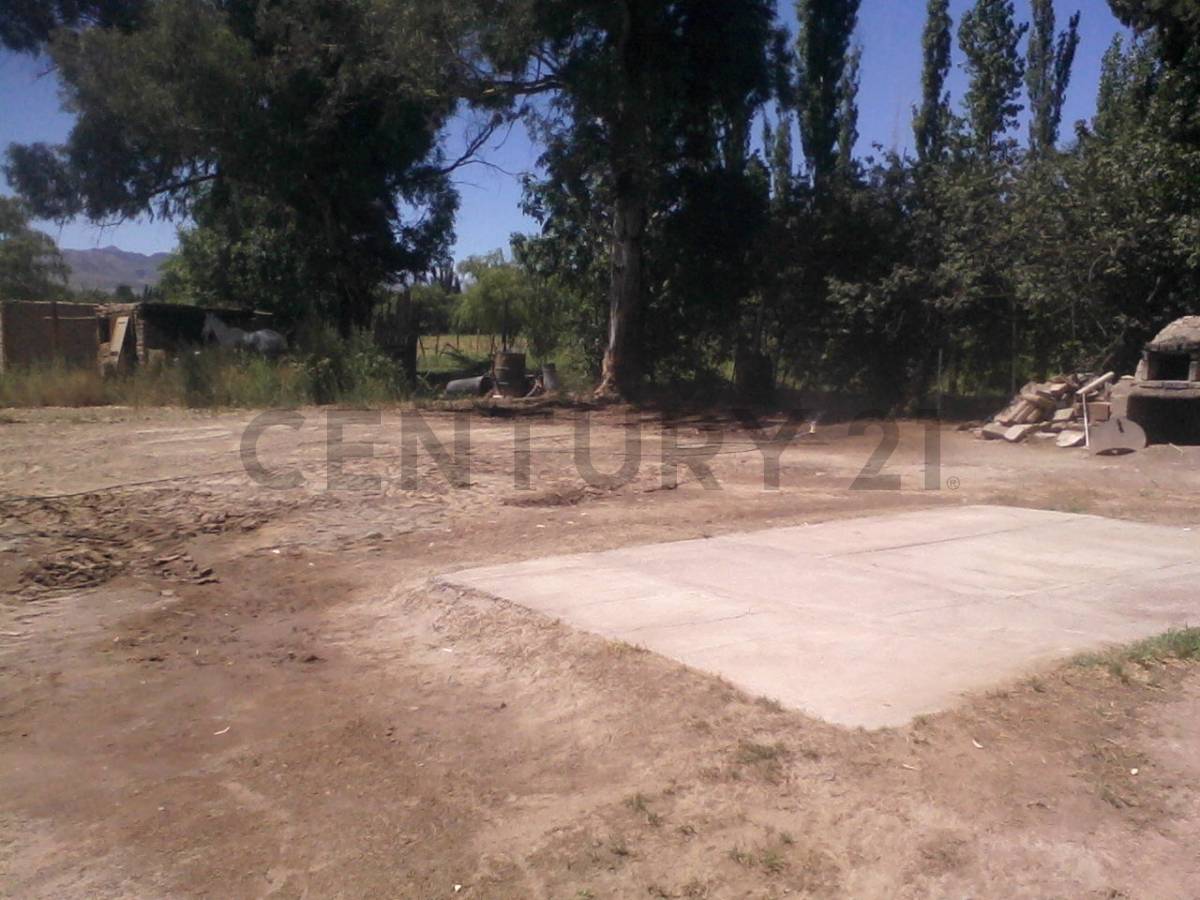 Casa en Venta en Calingasta, San Juan