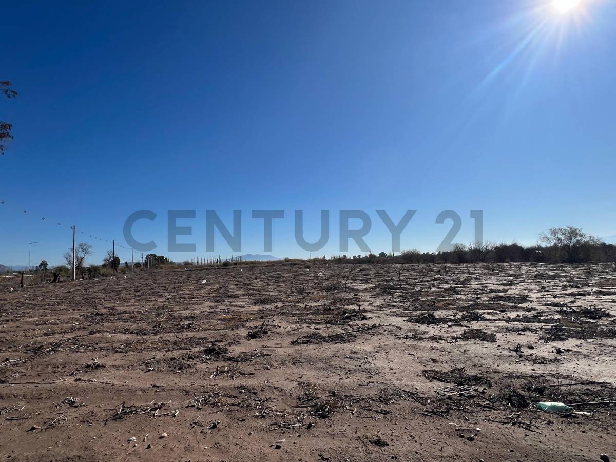 Campo en Alquiler en Pocito, San Juan