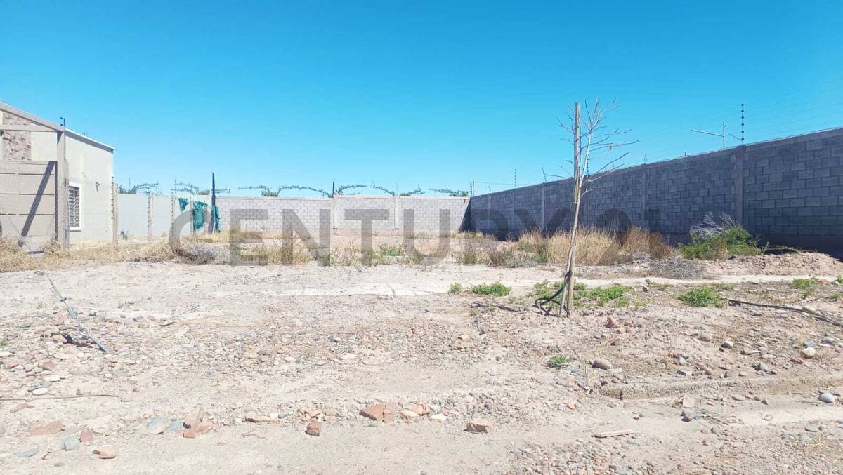 Terreno en Venta en Maipu, Mendoza