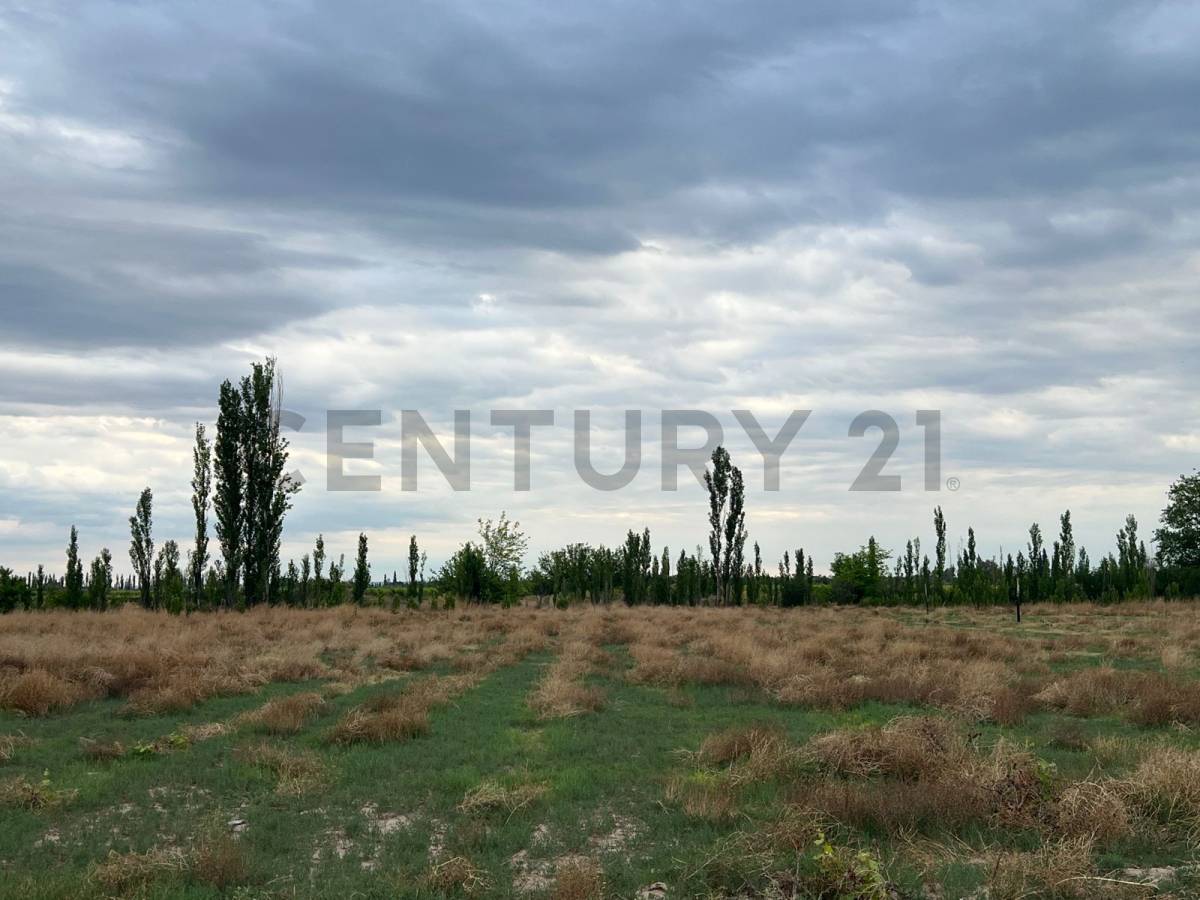 Casa en Venta en Junin, Mendoza