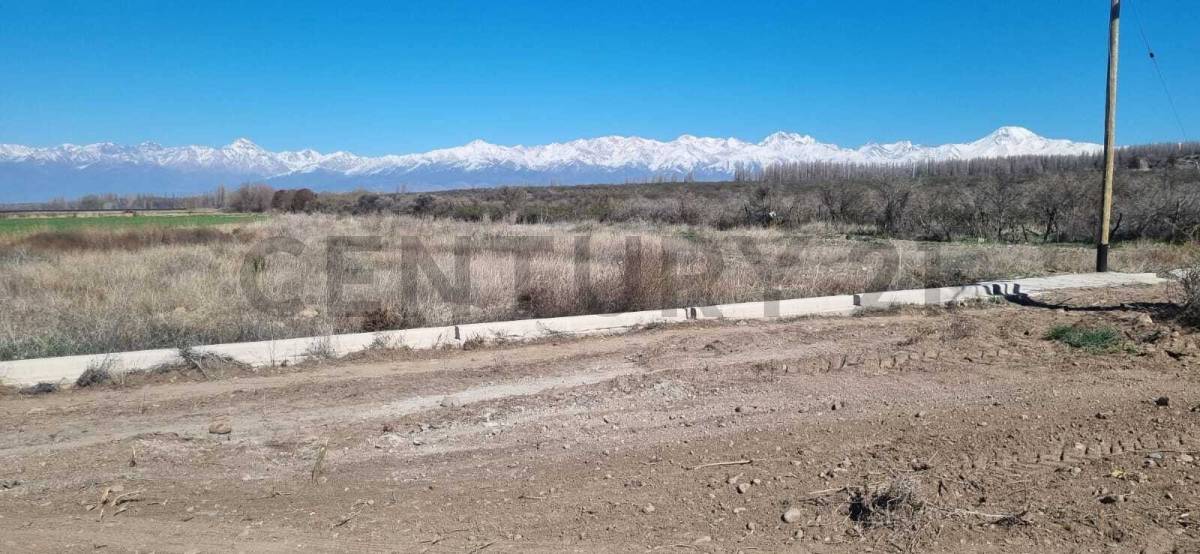 Terreno en Venta en Tupungato, Mendoza