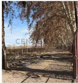 Terreno en Venta en Las Heras, Mendoza