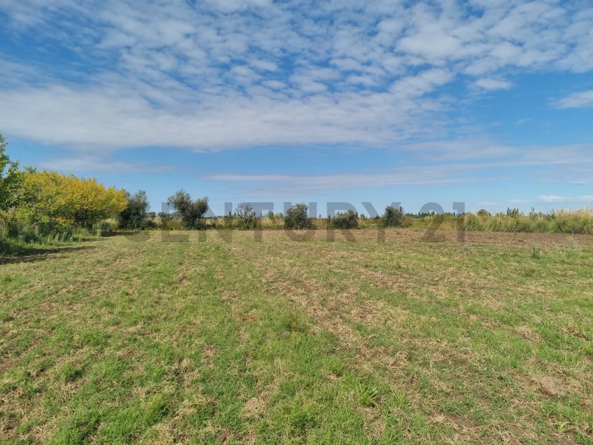 Terreno en Venta en San Rafael, Mendoza