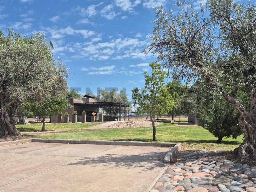 Terreno en Venta en Maipu, Mendoza