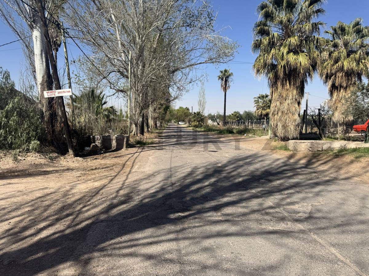 Campo en Venta en Maipu, Mendoza