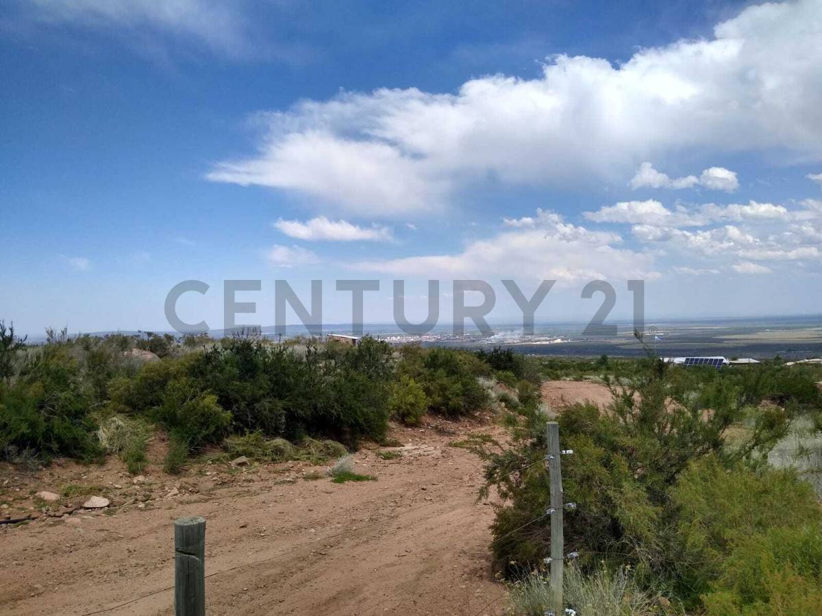 Terreno en Venta en Lujan de Cuyo, Mendoza