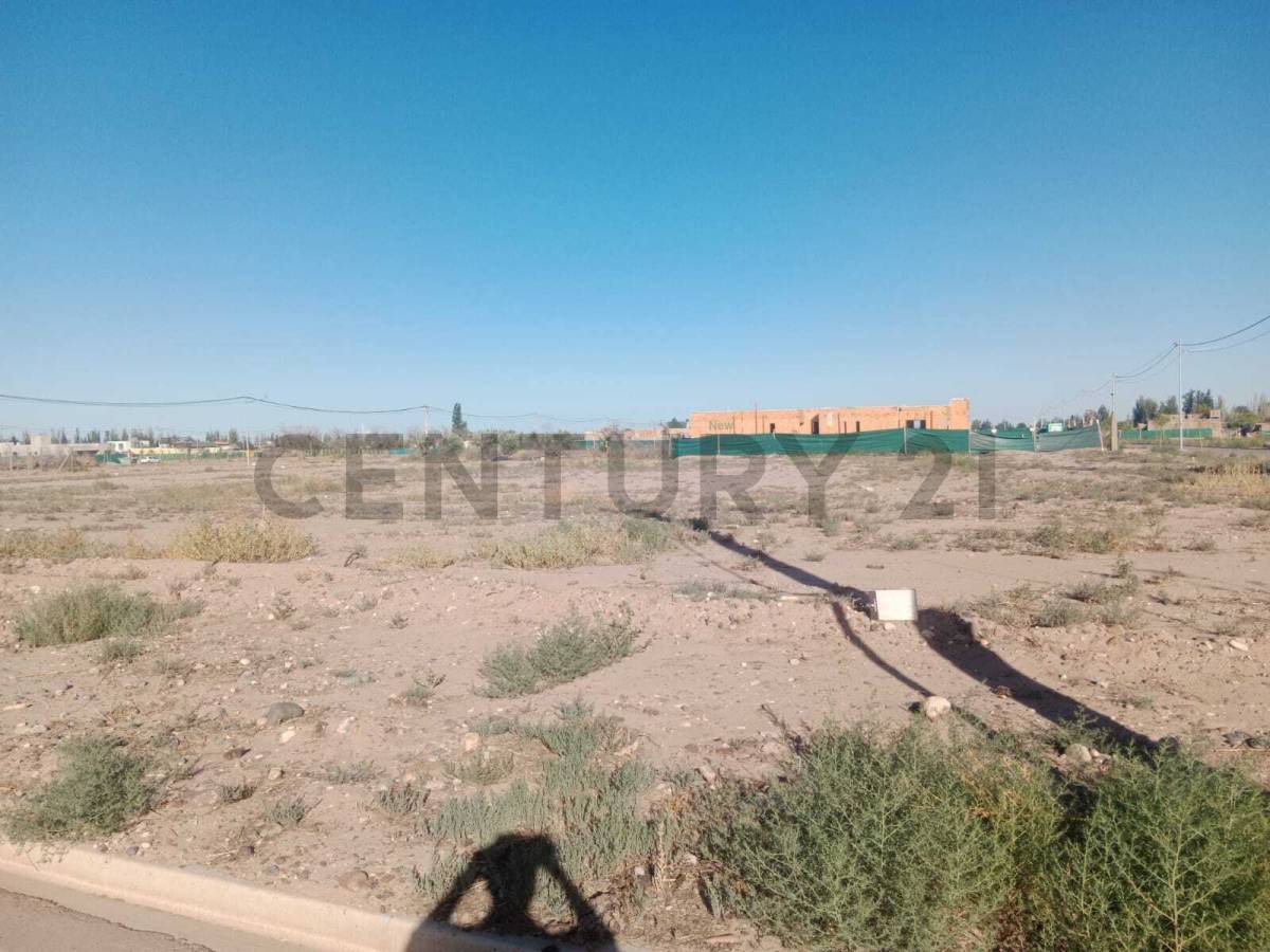 Terreno en Venta en Lujan de Cuyo, Mendoza