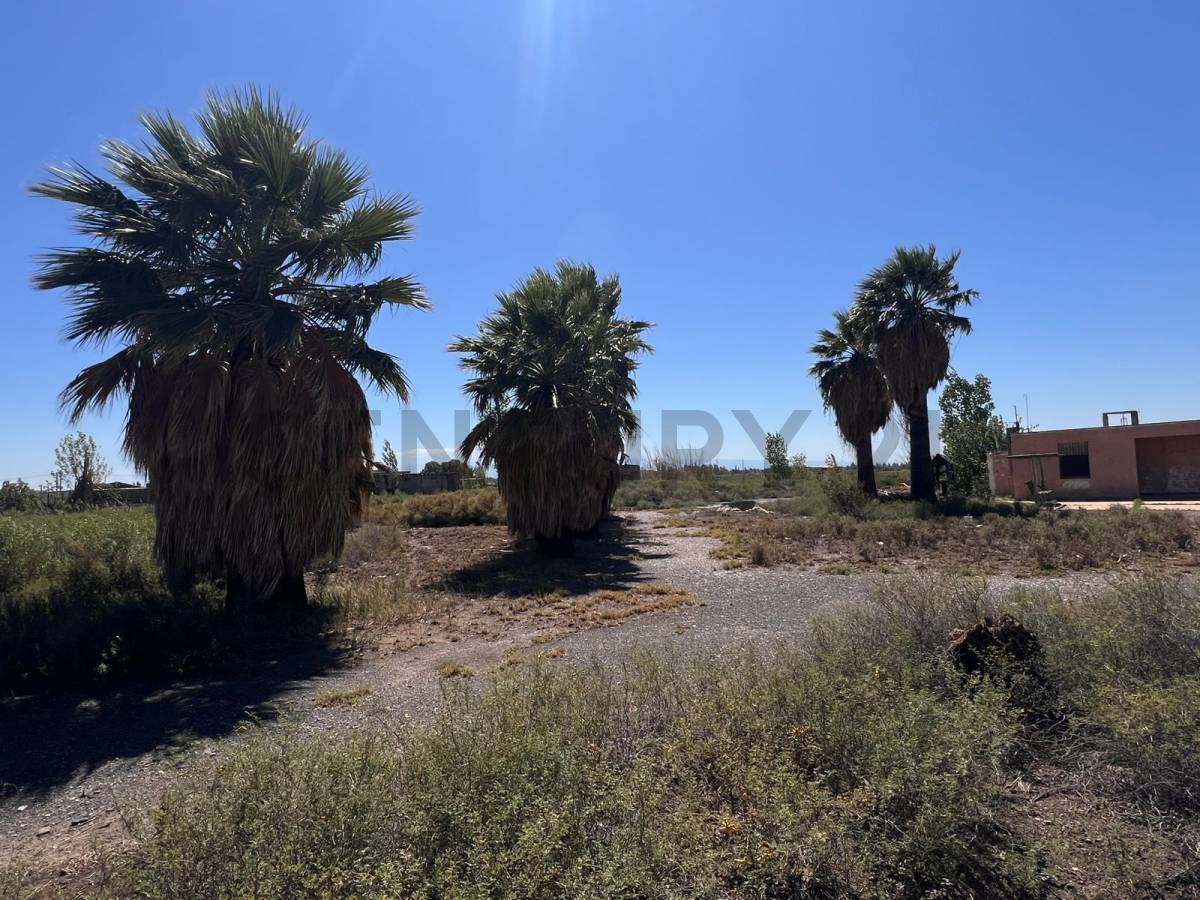 Campo en Venta en Pocito, San Juan