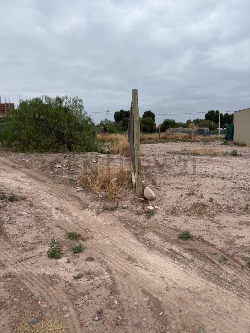 Terreno en Venta en Lujan de Cuyo, Mendoza