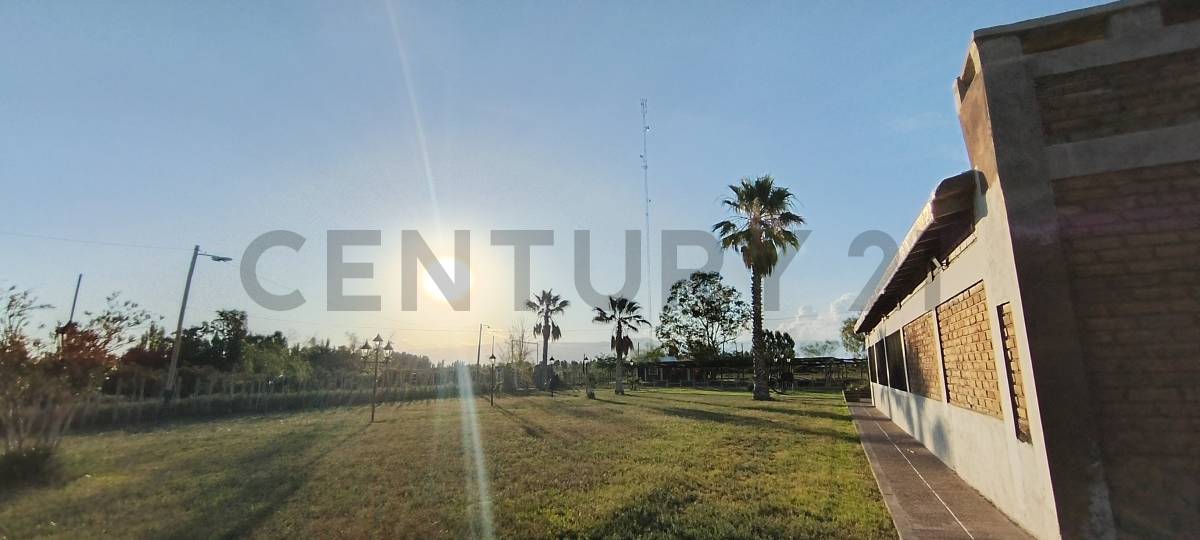 Casa Quinta en Venta en Lavalle, Mendoza