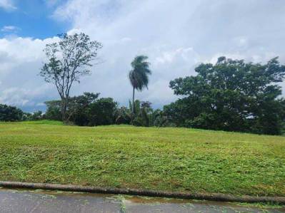 terreno en venta