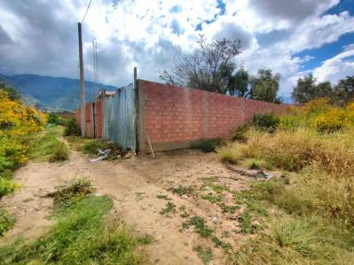 terreno en venta