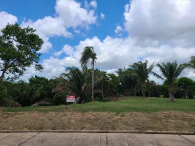 terreno en venta