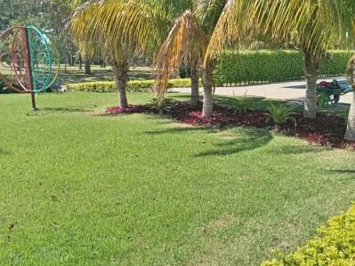 terreno en venta