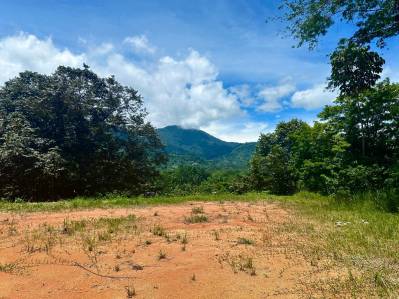 Lote en Calle Cacique de Ojochal | Fácil acceso y vistas espectaculares a las montañas