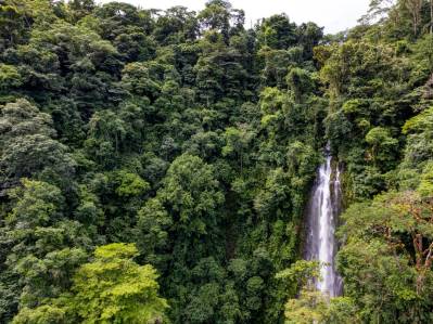Una finca con cascadas única en la vida en un corredor biológico prístino