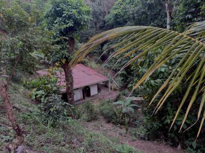 2 Dormitorio privado Tropical casa de mono, en el bosque, Las Monas a sólo 5 minutos de Jaco.