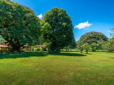 Prime 13.4-Acre Development Land In Osa, Costa Rica