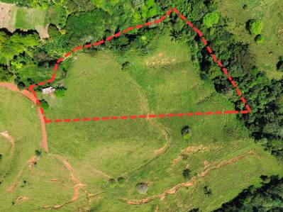 4.5 Acres Moctezuma Farm San Isidro