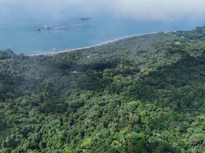 Finca Las Cataratas en Ballena