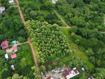 Lote de 5,000 m² en Zona Exclusiva de Nicoya