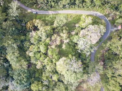 Loma con Vistas Paronamicas