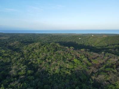Investment Opportunity: Playa Negra Lots