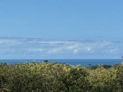 Lote de 2,528 m² con vista al mar en venta en Uvita – Perfecto para una o dos casas