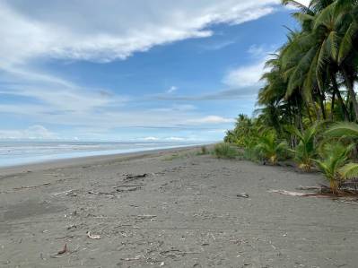 Magnífico lote urbanizable de 3500 metros a un bloque de la playa de Palo Seco