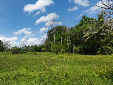 Venta Terreno 2.717 metros cuadrados Chachagua